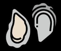 Oysters