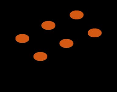 Sushi during pregnancy — food recommendations